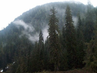 Sept 2002 Terrace Fishing